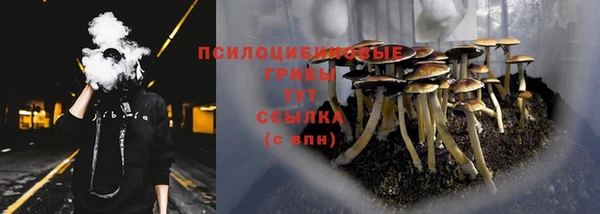 мескалин Нязепетровск