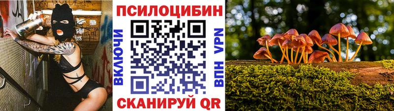Псилоцибиновые грибы мухоморы купить наркотики сайты Усмань